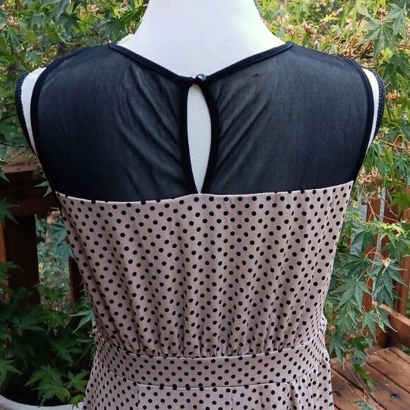 NWT Enfocus Studio Black and Tan Dress - Picture 7 of 12